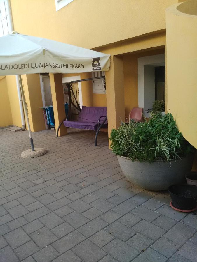 Apartment Ticic Povljana Exterior foto